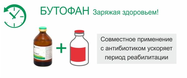 antibakterialnyie-sredstva amoxicillin